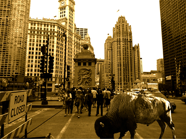 Buffalo in NYC photoshop