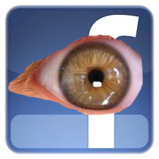 How to use facebook Insights