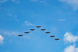 site migrations