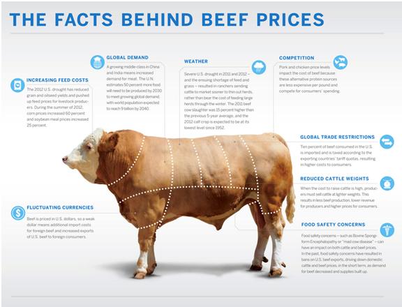 The Facts Behind Beef